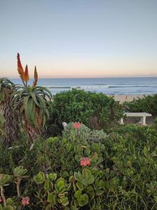 Seester Strandhuis - 3hvězdičkové hotely ve městě Jeffreys Bay