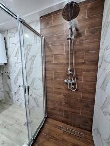 Relax Lux apartment Nis