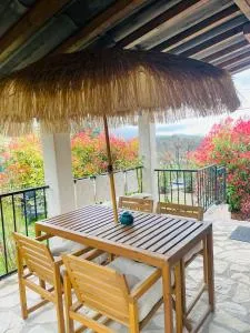 Gecko - 巴尔日蒙