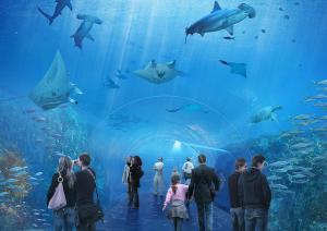 Appartements Studio cosy au centre de Boulogne/Mer avec wifi : photos des chambres