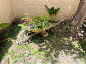 Casa céntrica Las Higueras