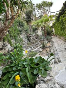 Villa Mougins vue mer Avec Piscine