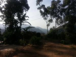 Wow Home Stay