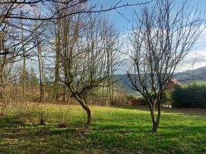 Chata na Poskle u lesa s výhledem