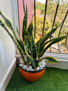 Hidden Gem, Westlands -1 bedroom