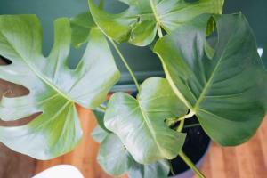 Appartements Inkspiration • Le Chill En Centre Ville : photos des chambres