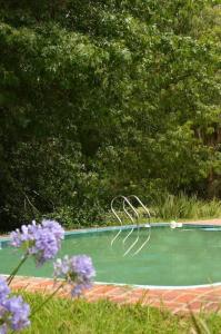 Casa de Campo El Ñandú con gran jardín y pileta