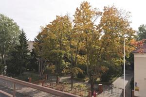 Home you will love - in the green heart of Warsaw