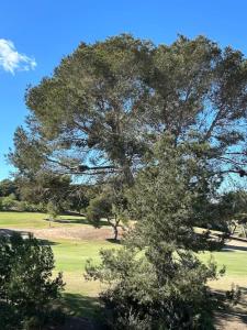 Appart Villamartín Plaza golf