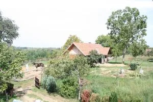 Farmica, Bed&Breakfast, Bazen izdvojen nekoliko minuta hoda - Molve