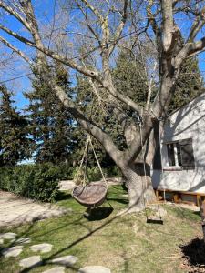 B&B / Chambres d'hotes ARLES CAMPAGNE LOCATION 