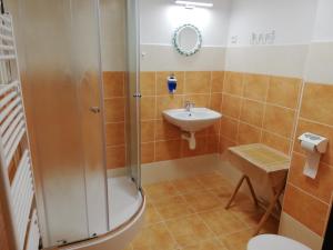 Triple Room with Shower room in Penzion Ski