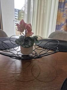 Apartman Katarina