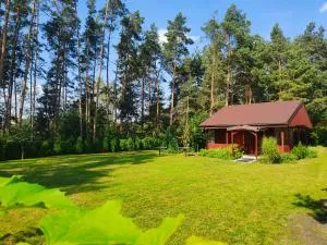 Ranczo Wilka z kominkiem - Lipowiec Ranczo Wilka z kominkiem - Lipowiec