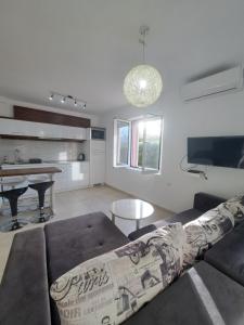 Apartment room in Paunovic Apartments