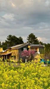 Casa da Oliveira - Populo