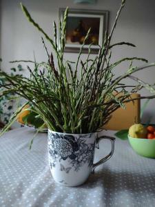 Apartments with a parking space Losinj, Losinj - 22940