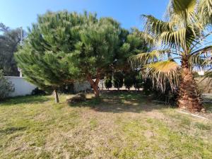 Maisons de vacances Grande maison avec jardin, proche plage, 4 chambres, terrasse, pour 8 personnes - Ile d'Oleron - FR-1-778-22 : photos des chambres