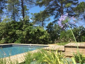 Maisons de vacances Du reve O naturel - Maison de vacances entre Gorges de l'Ardeche et Gard : photos des chambres
