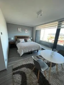 Maravilloso Depto. Estudio 1D1B - Chiguayante