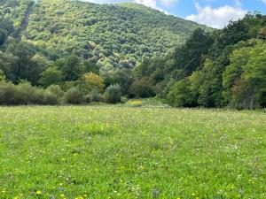 The Hunter’s Camping Zone