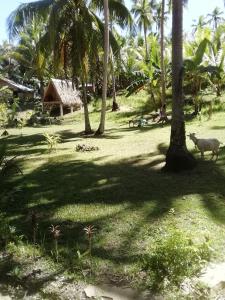 Eras Garden Homestay