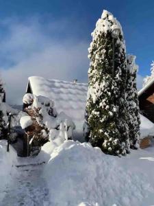 Chalets Beautiful *** Chalet Le Gentiane in L-Alpe du Grand Serre : photos des chambres