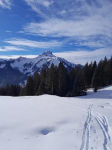 Chalets Chalet traditionnel 8 p 4 ch residence principale : photos des chambres