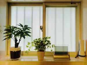 Rakuyado kyotofushimi I