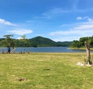 Nongangellakefarm - Araceli