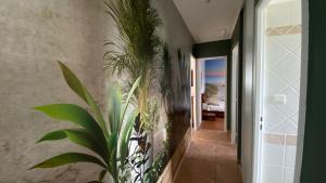 Villas Maison CAUVIERE : Villa 3 Chambres