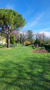 Appartements Max : photos des chambres