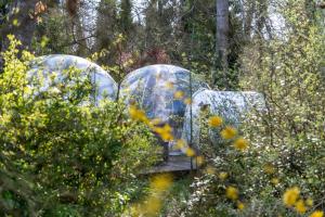 Maisons de vacances Au Calme Absolu chez Nicolas : photos des chambres