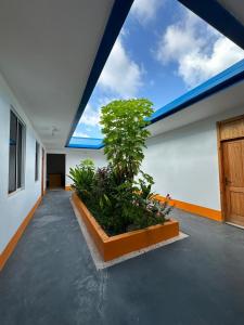 The Happiness Sun Suites