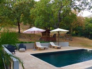 Libélula de El Vergel de Chilla