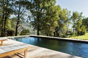 Libélula de El Vergel de Chilla