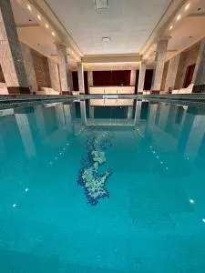 Status Hotel Casino - Río Grande