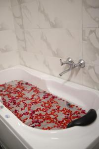 Gallivanto Inn - Rohini