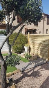 Appartements T1 bis climatimatise -Agosta Plage- 10 min a pied : photos des chambres