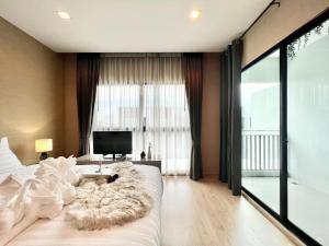 Free pick up and Stunning Luxury Family Home 2B2B