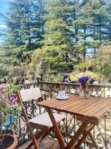 Moedani-Very Center Apartments in Kutaisi - Agara