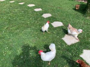 Gîte " Le Normand " Sa Vue Splendide