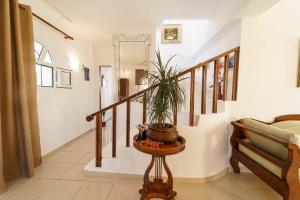 PEDRO NAVARINO ΙΙΙ Laganas - 4-star hotels in Laganas