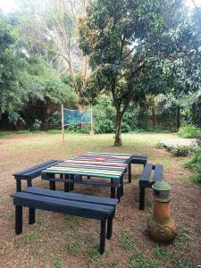 Mad Vervet Nairobi Backpackers Hostel