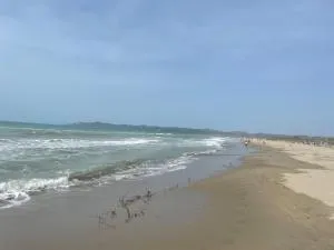 Villa house - Rrushkull