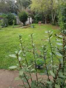 Appartements Cap au Sud Sweet home : photos des chambres