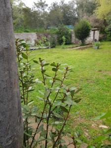 Appartements Cap au Sud Sweet home : photos des chambres
