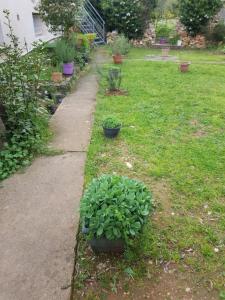 Appartements Cap au Sud Sweet home : photos des chambres