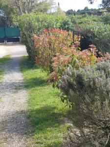 Appartements Cap au Sud Sweet home : photos des chambres