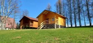 Modrzewie - 缅济莱谢